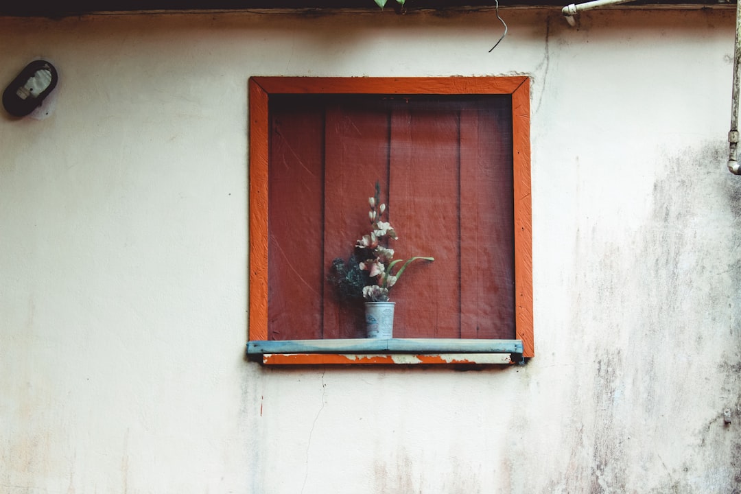 flowers in pot on window at daytime,
