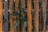 Vertical wooden planks form a rustic fence, with dark green leaves peeking through gaps. The wood has a weathered appearance with shades of brown and orange, suggesting exposure to natural elements over time. The leaves exhibit speckles of lighter green and are in contrast to the earthy tones of the planks.