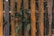Vertical wooden planks form a rustic fence, with dark green leaves peeking through gaps. The wood has a weathered appearance with shades of brown and orange, suggesting exposure to natural elements over time. The leaves exhibit speckles of lighter green and are in contrast to the earthy tones of the planks.