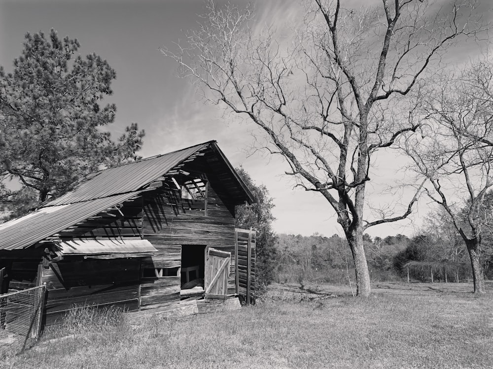 grayscale photography of wooden house beside tree