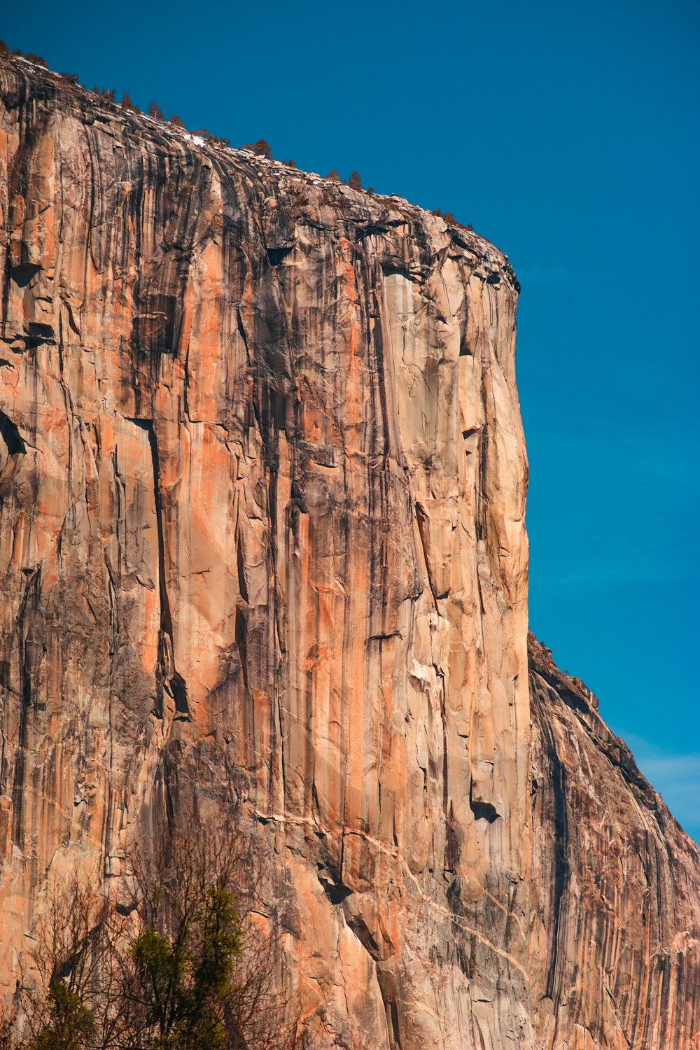 brown rock formation