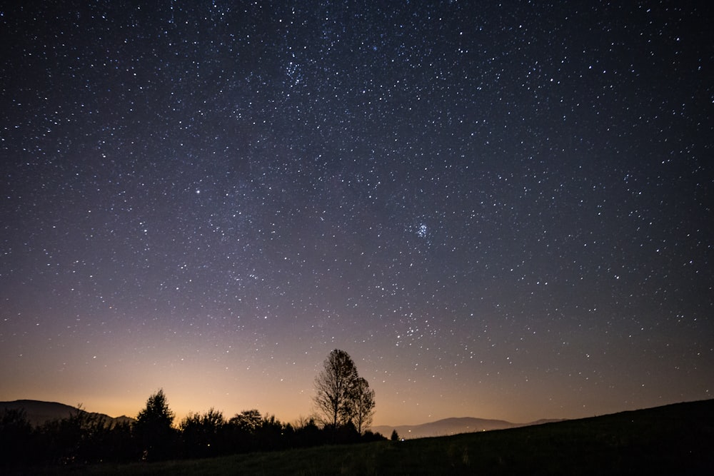 silhouette of trees on hill view during night time