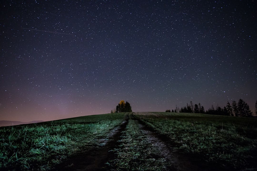 green grass field