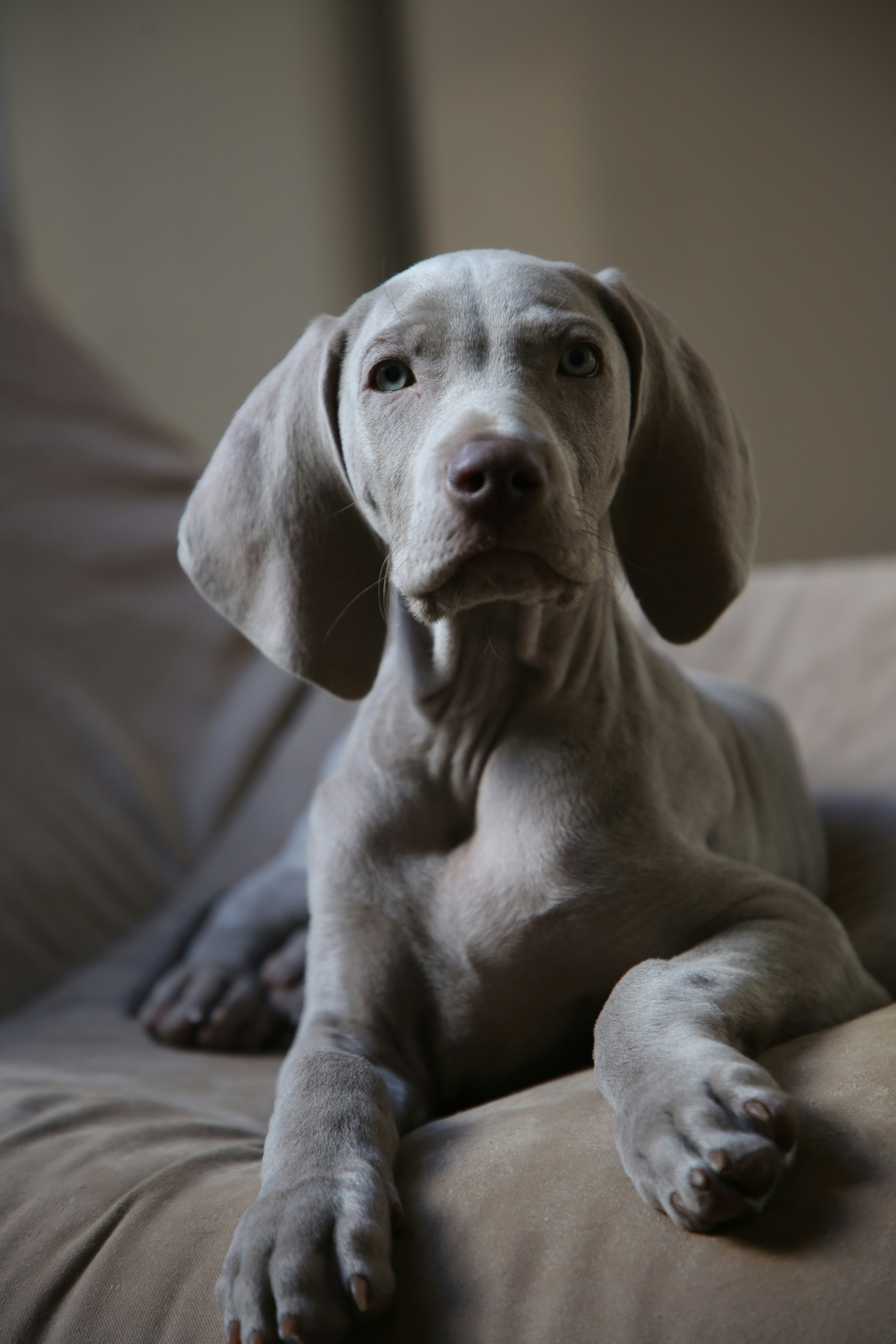 Photo by nathalie_spehner