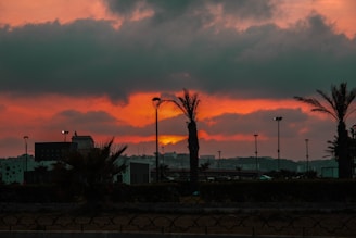 A vibrant sunset over palm trees with neon lights reflecting off a vintage cassette tape.