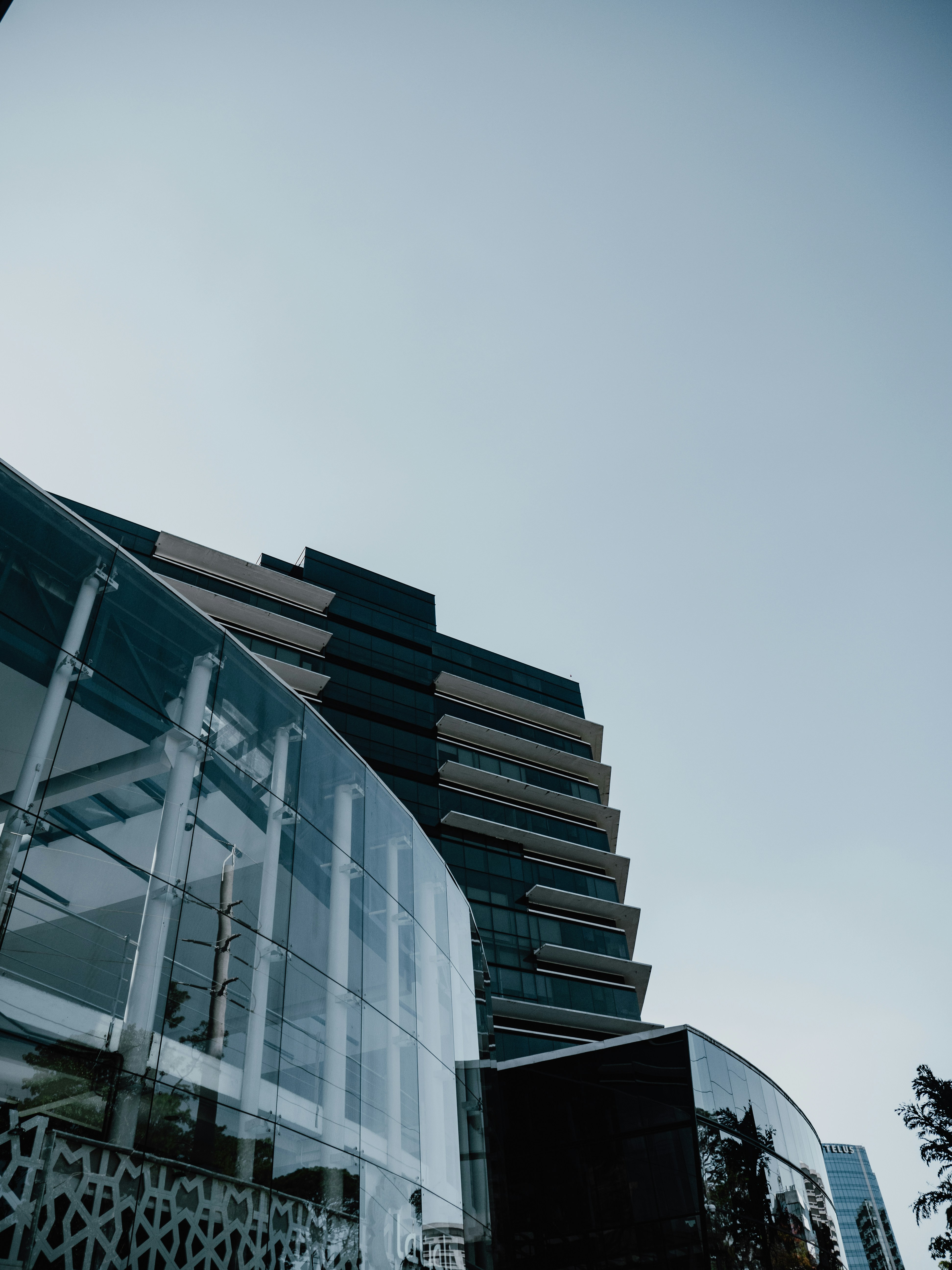 Photo by robbieherrera