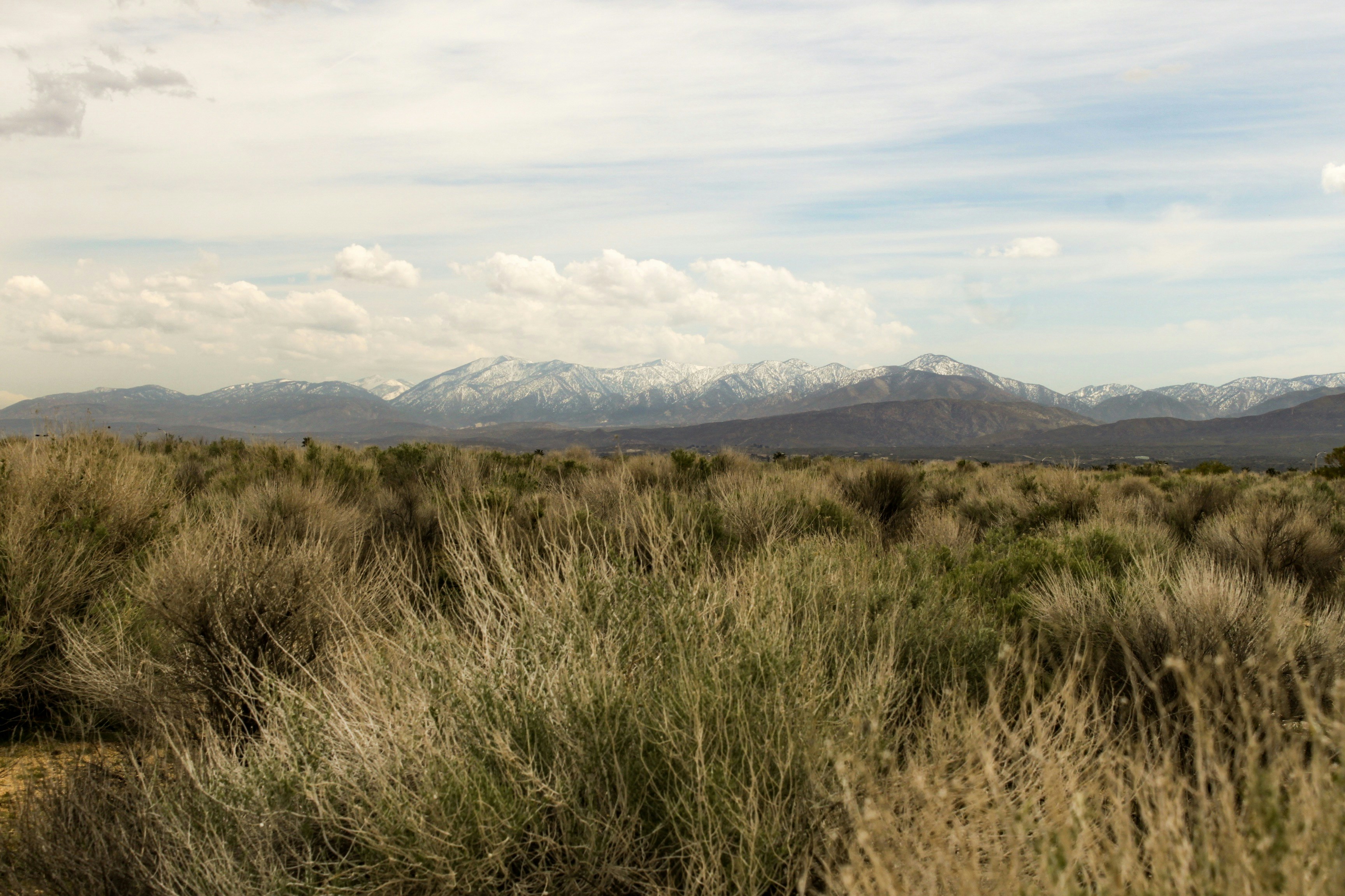 Photo by jeremiahcampbe