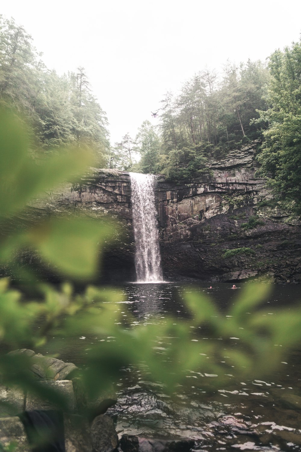 waterfalls surrounded by trees