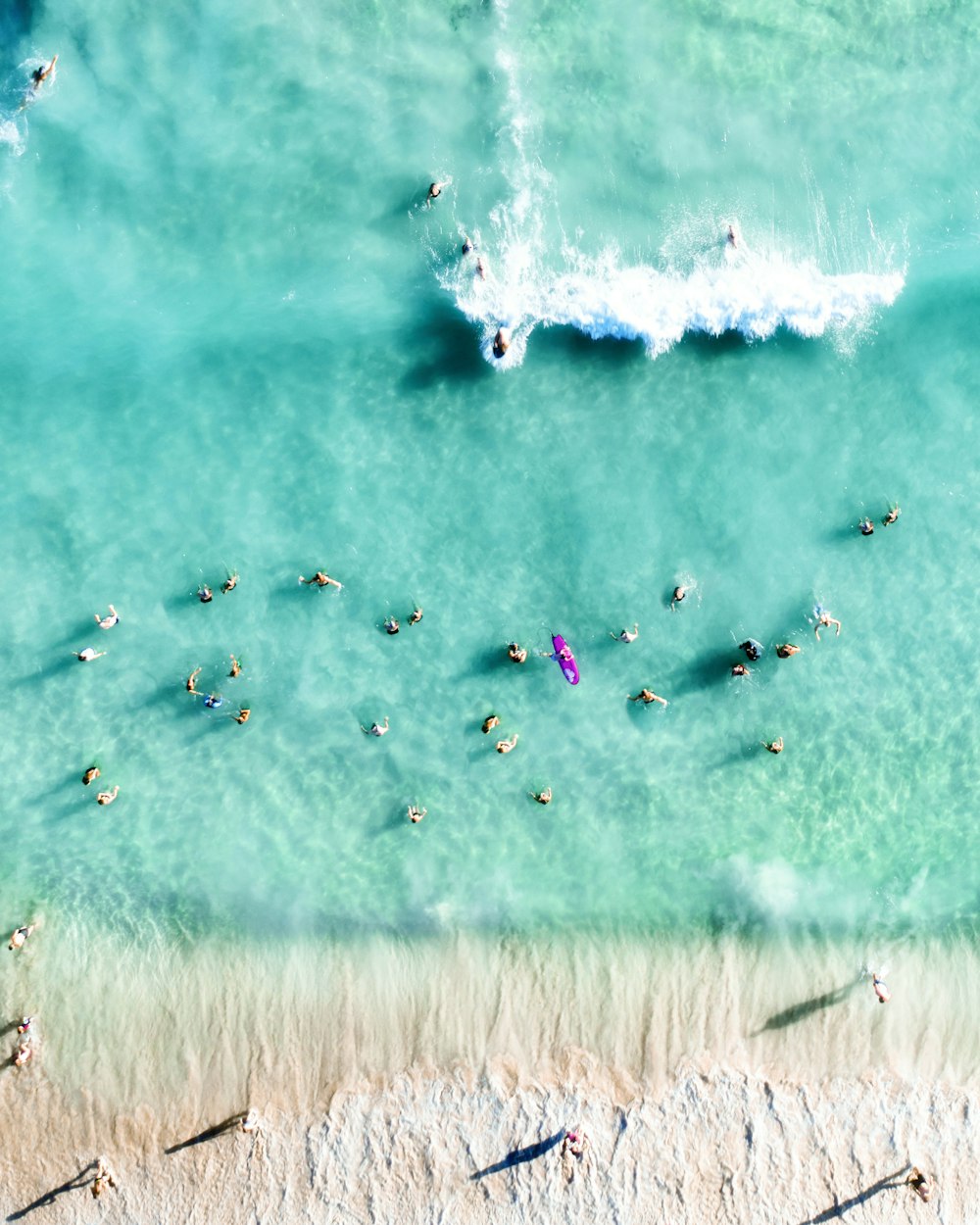 fotografia aerea di persone sulla spiaggia