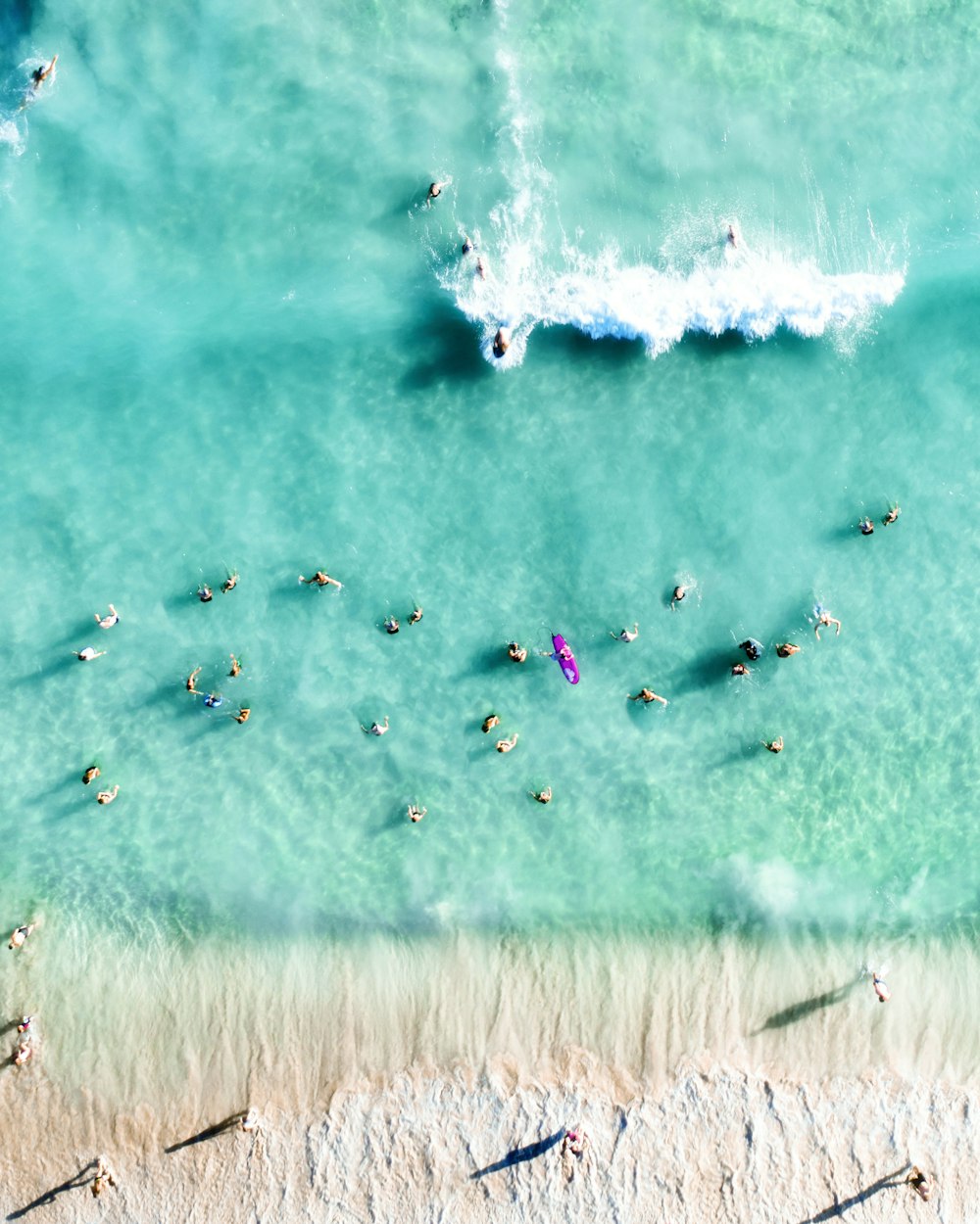 fotografia aérea de pessoas na praia