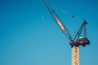 gray and yellow crane