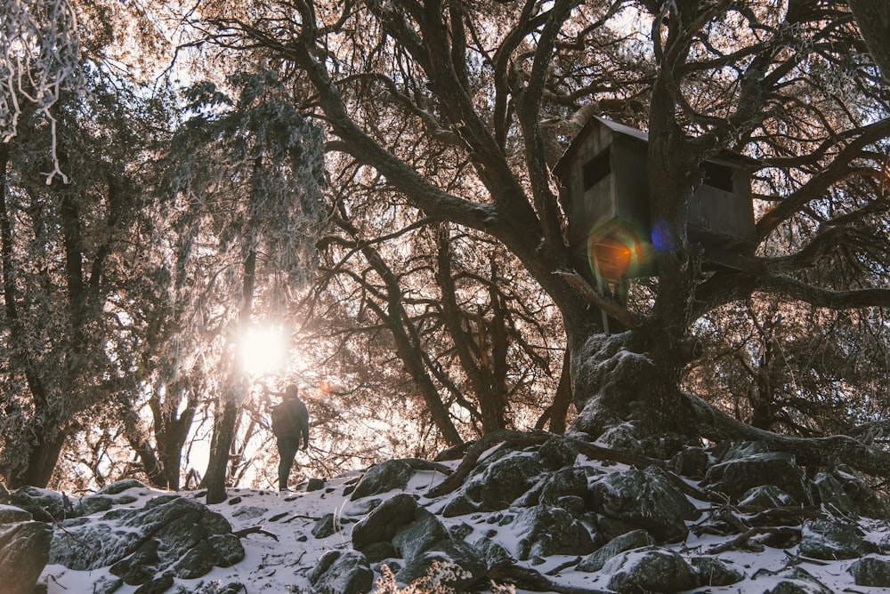 man standing under tree house