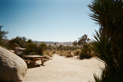 A peaceful picnic area shaded by desert trees with views of the colorful valley.