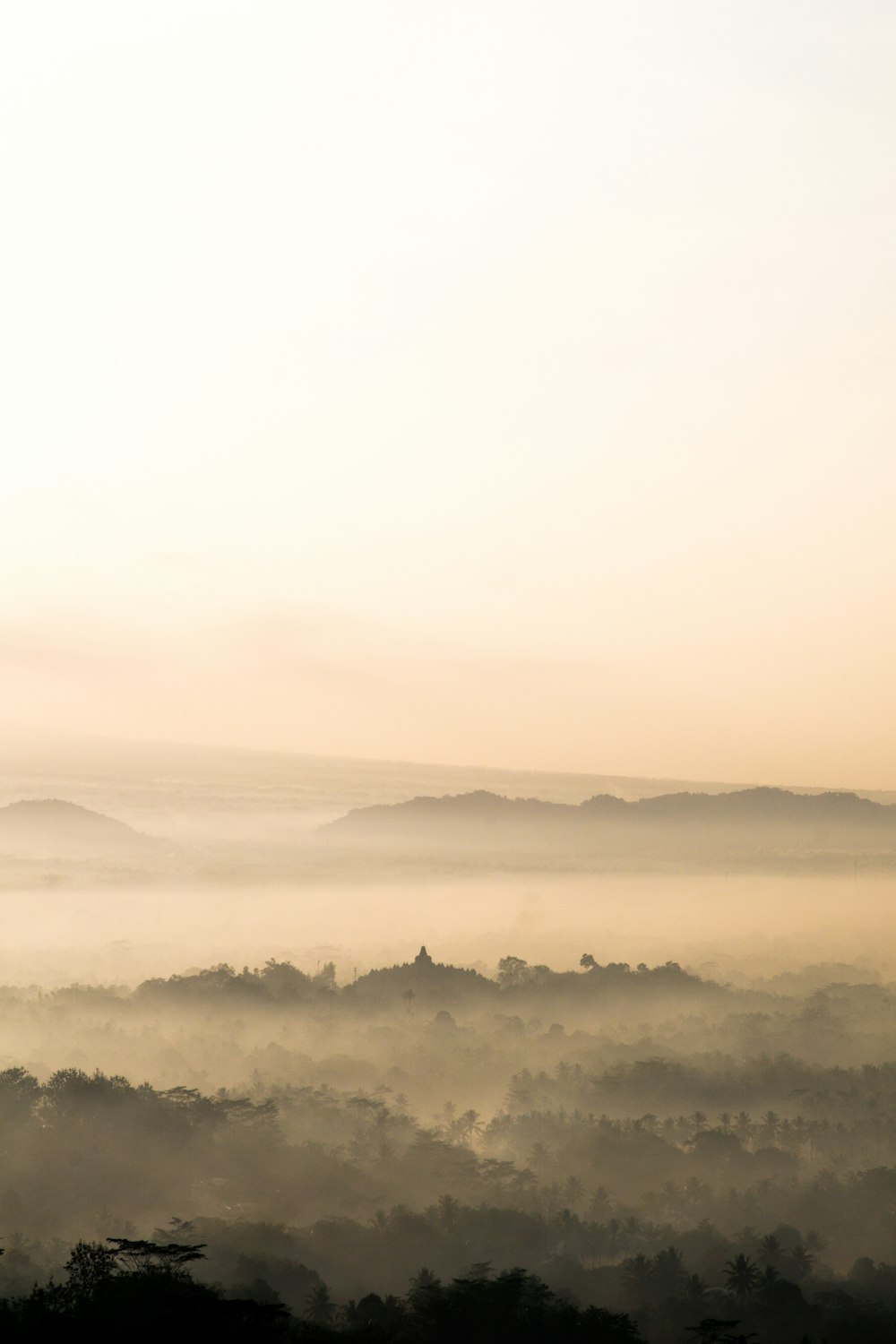 mountains under by fogs