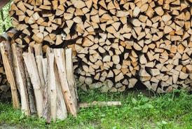pile of fire woods on green grasses