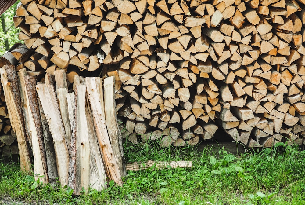 pile of fire woods on green grasses