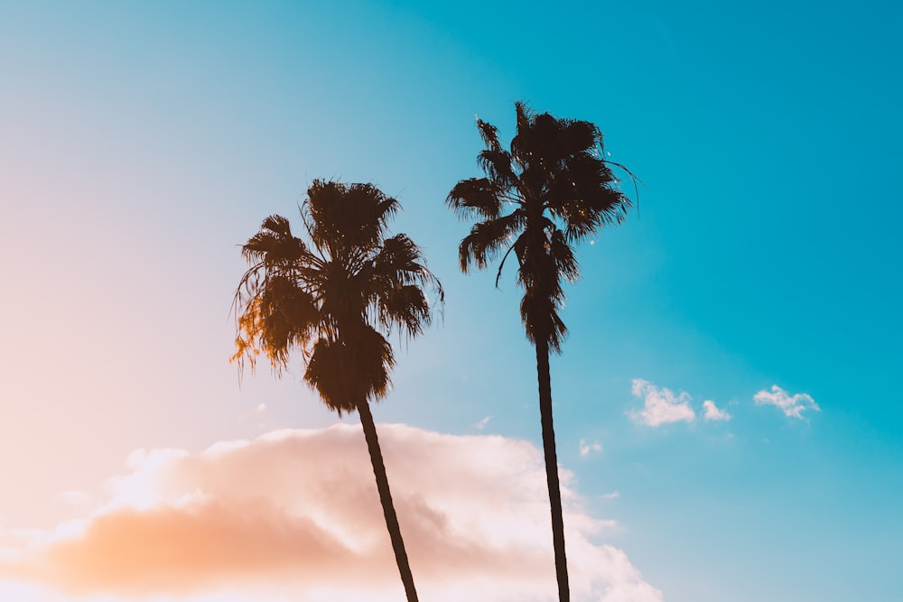 Summer Sky Pictures Download Free Images On Unsplash