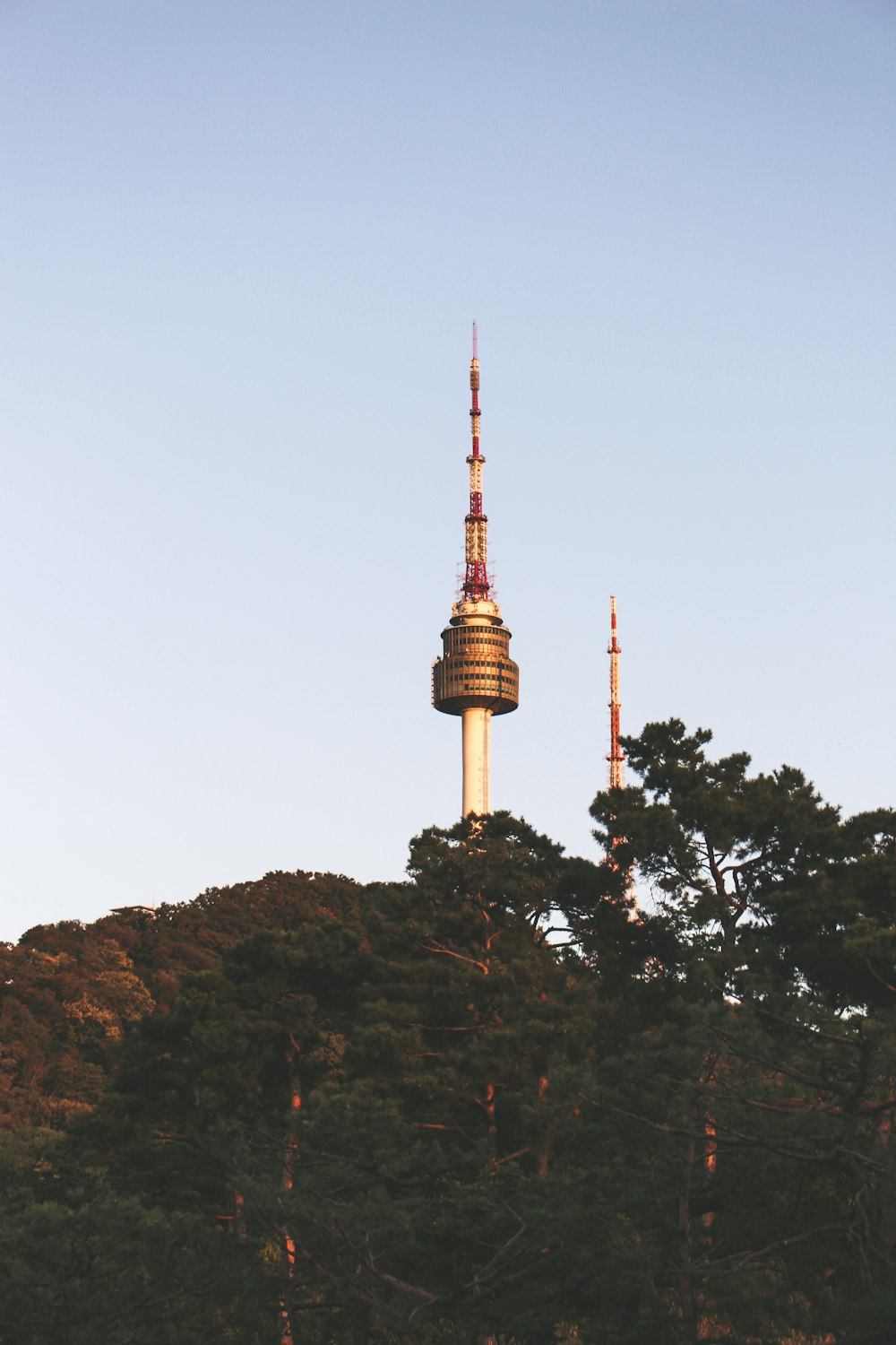 brown and black tower