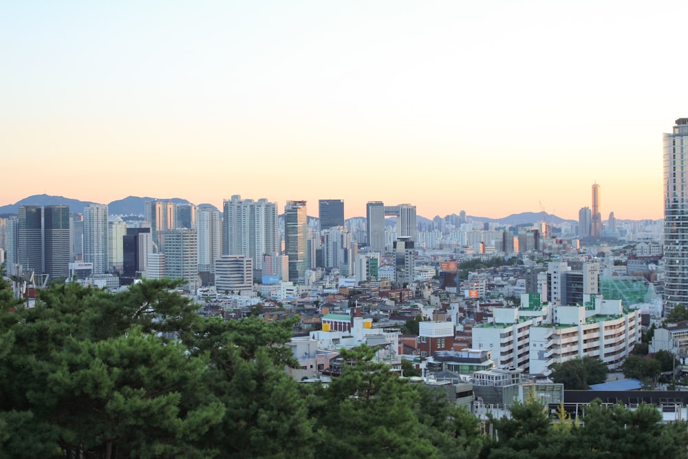 high-angle photography of city near trees