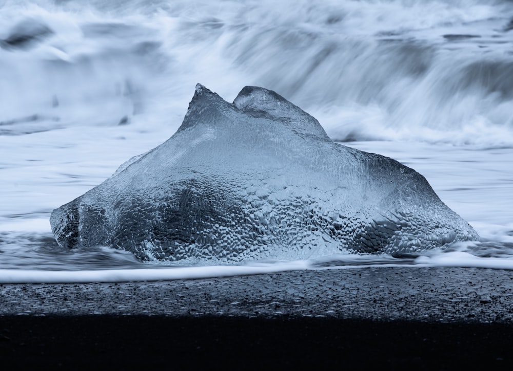 Cuerpo de agua y orilla