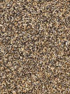 sesame seeds
