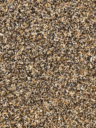 sesame seeds