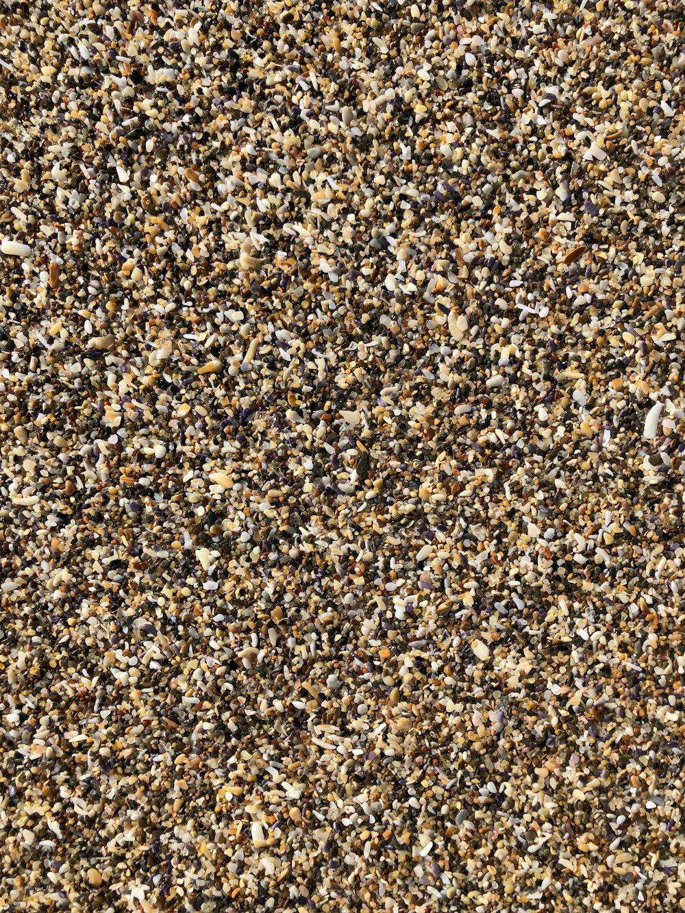 Gros plan d’une surface mouchetée brune et blanche