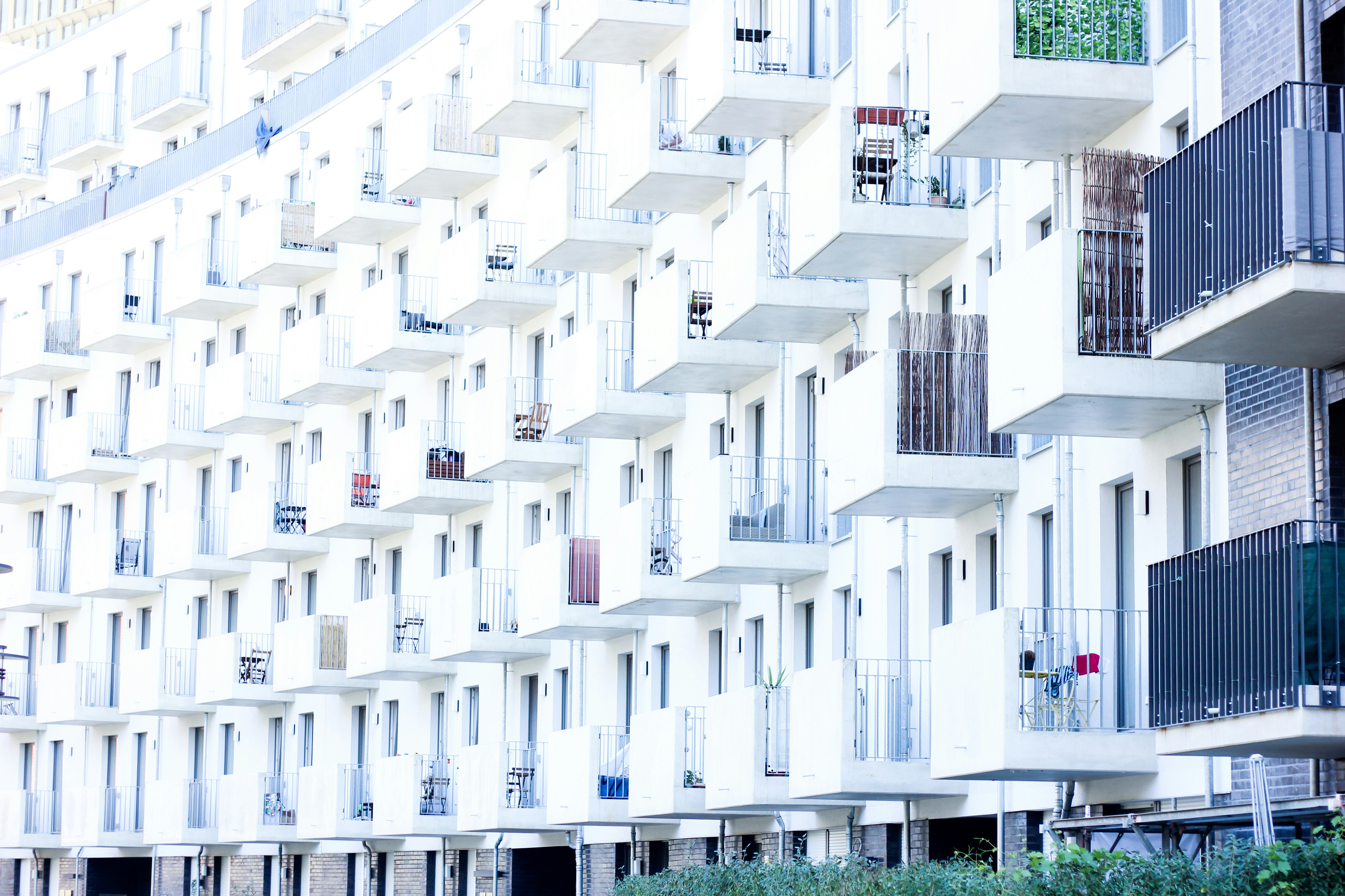 Photo by anantiscrawling