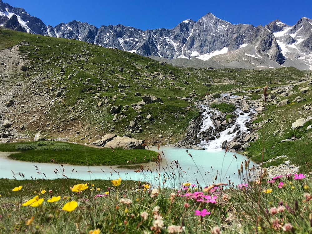 landscape photography of river near grass field