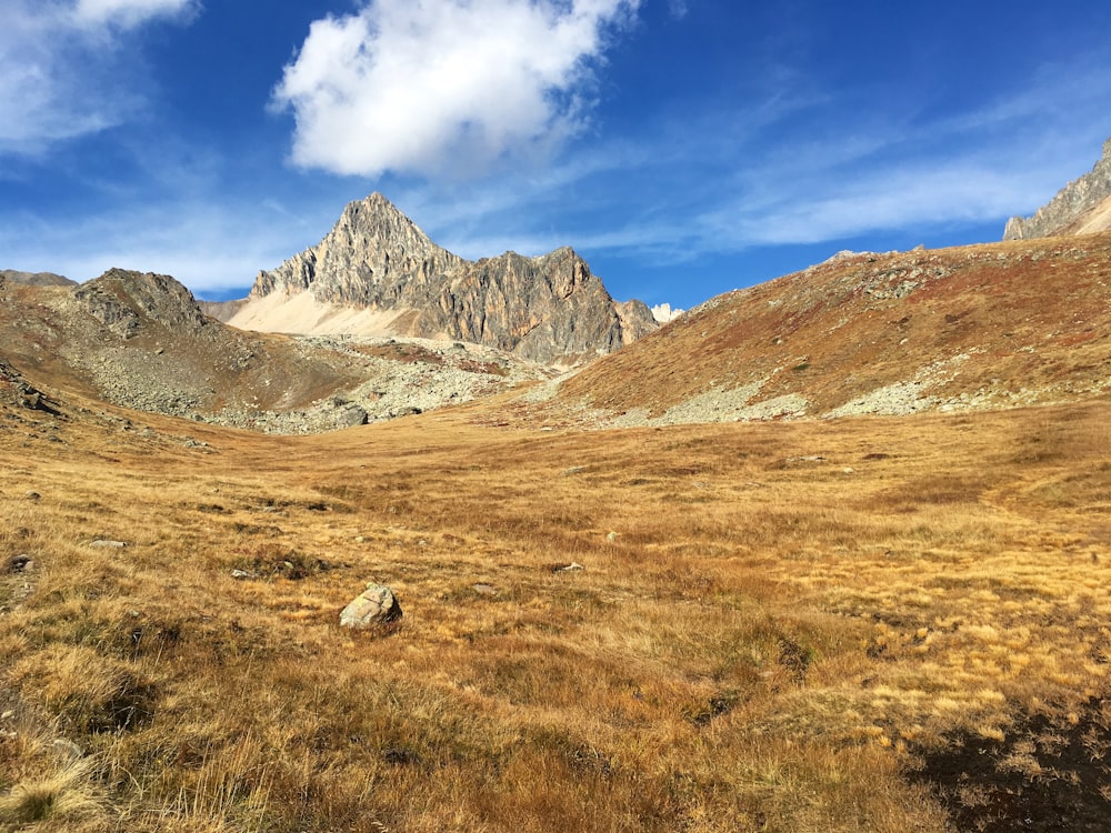 landscape photography of grass field on mountains