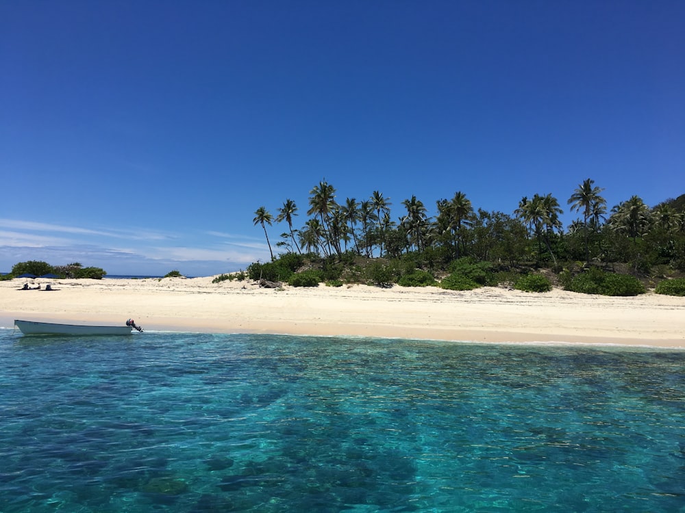 white boat near seashore during daytime