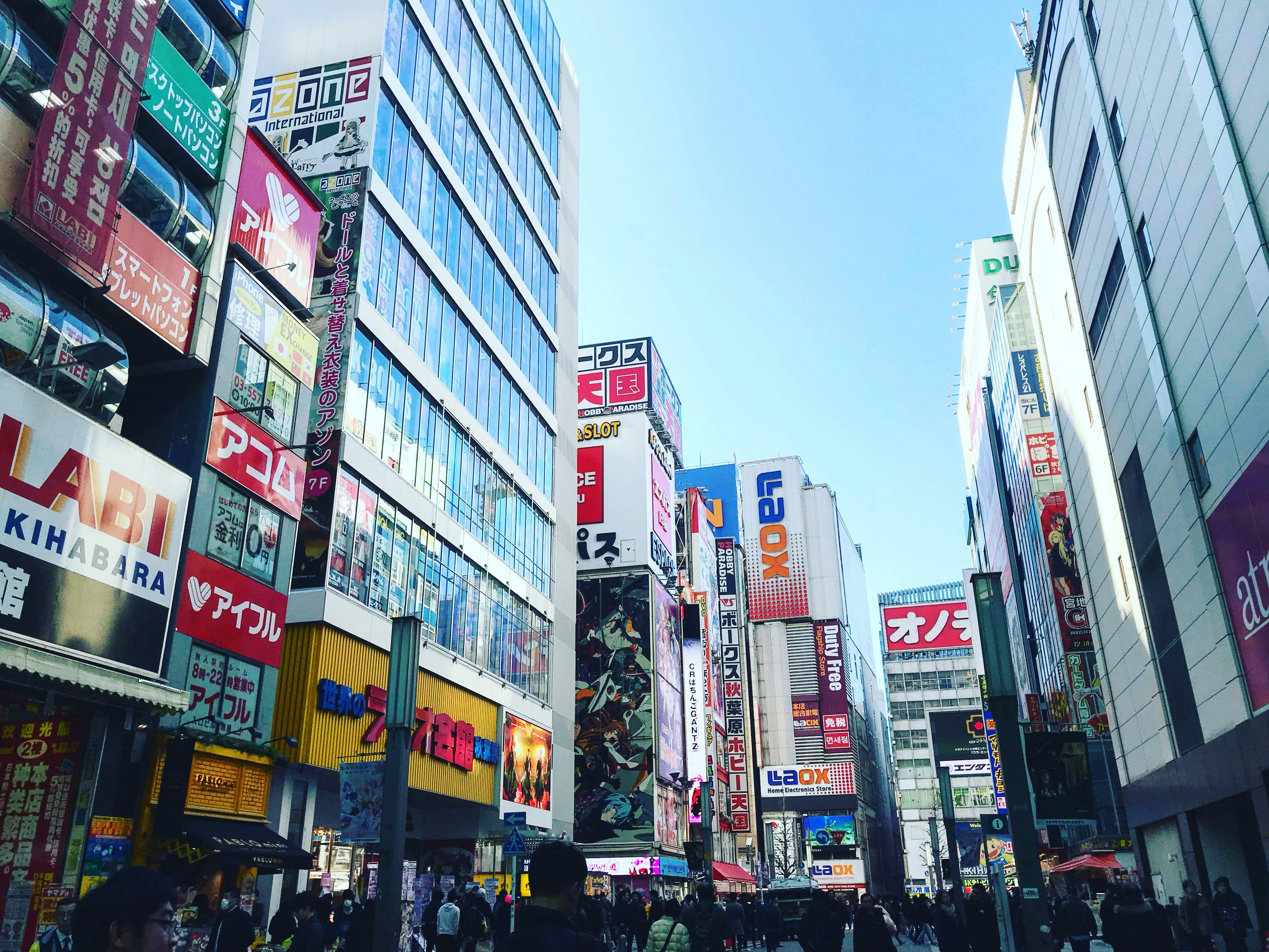 curtain buildings during daytime, 