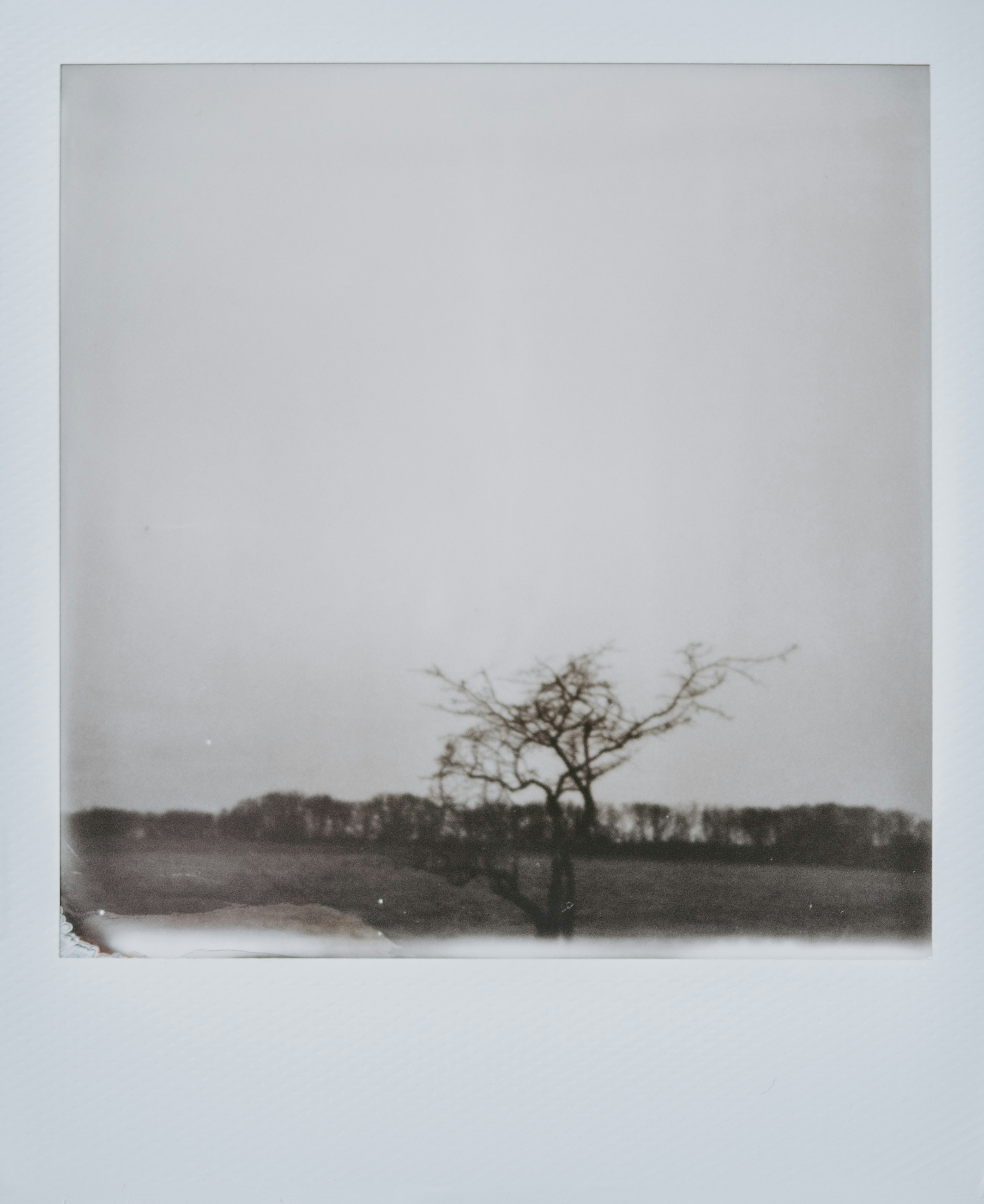 Photo by anniespratt