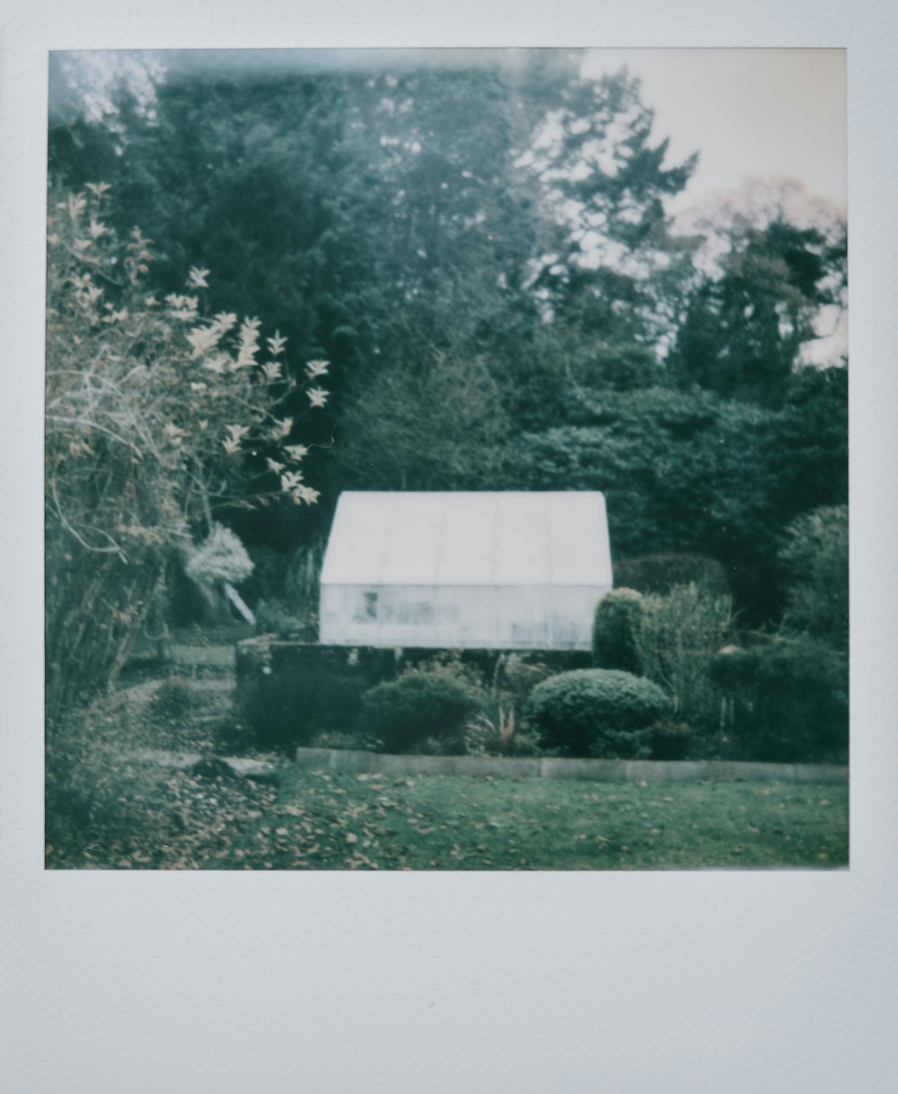 white and gray house near green trees during daytime