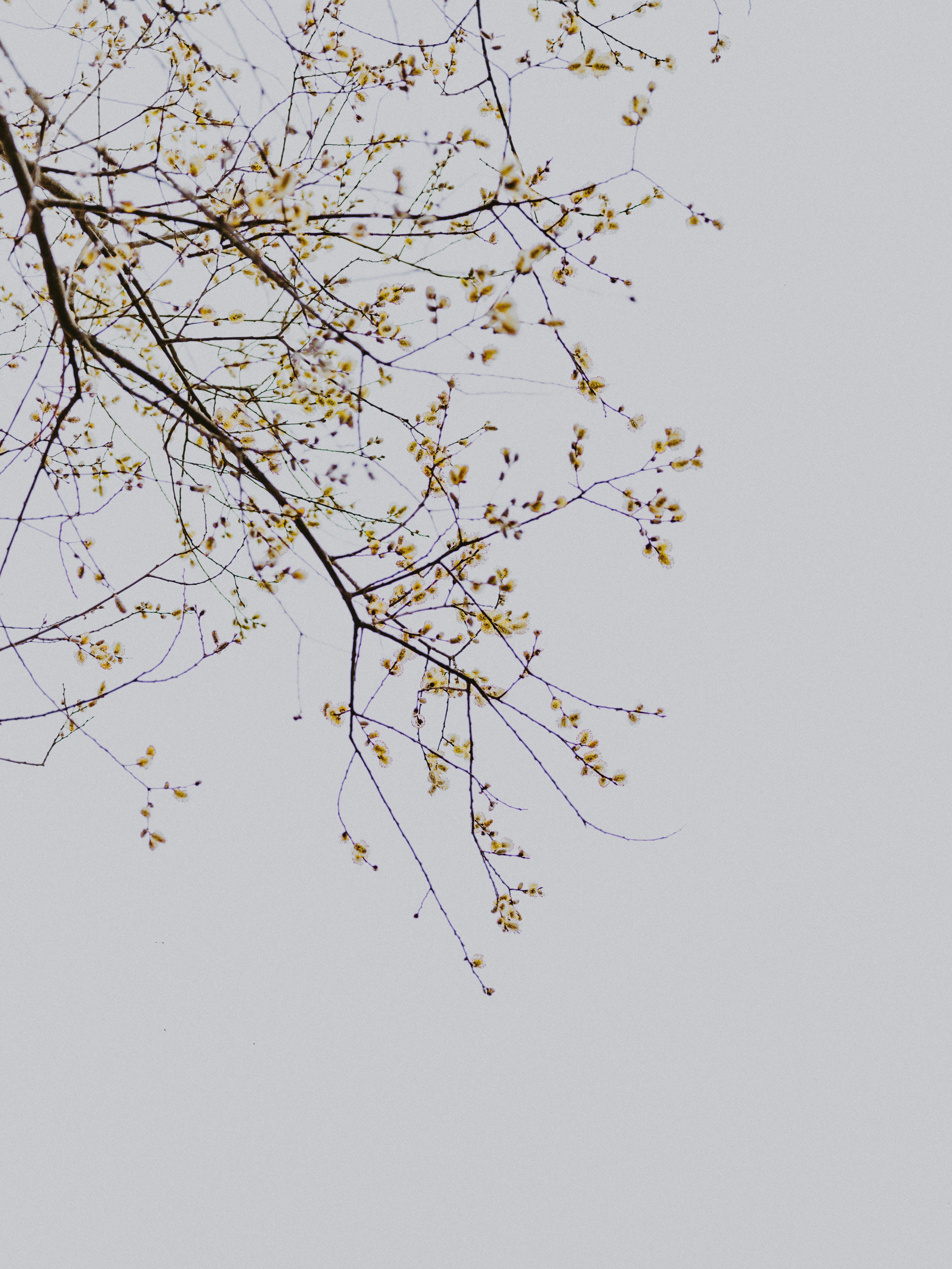 Photo by anniespratt