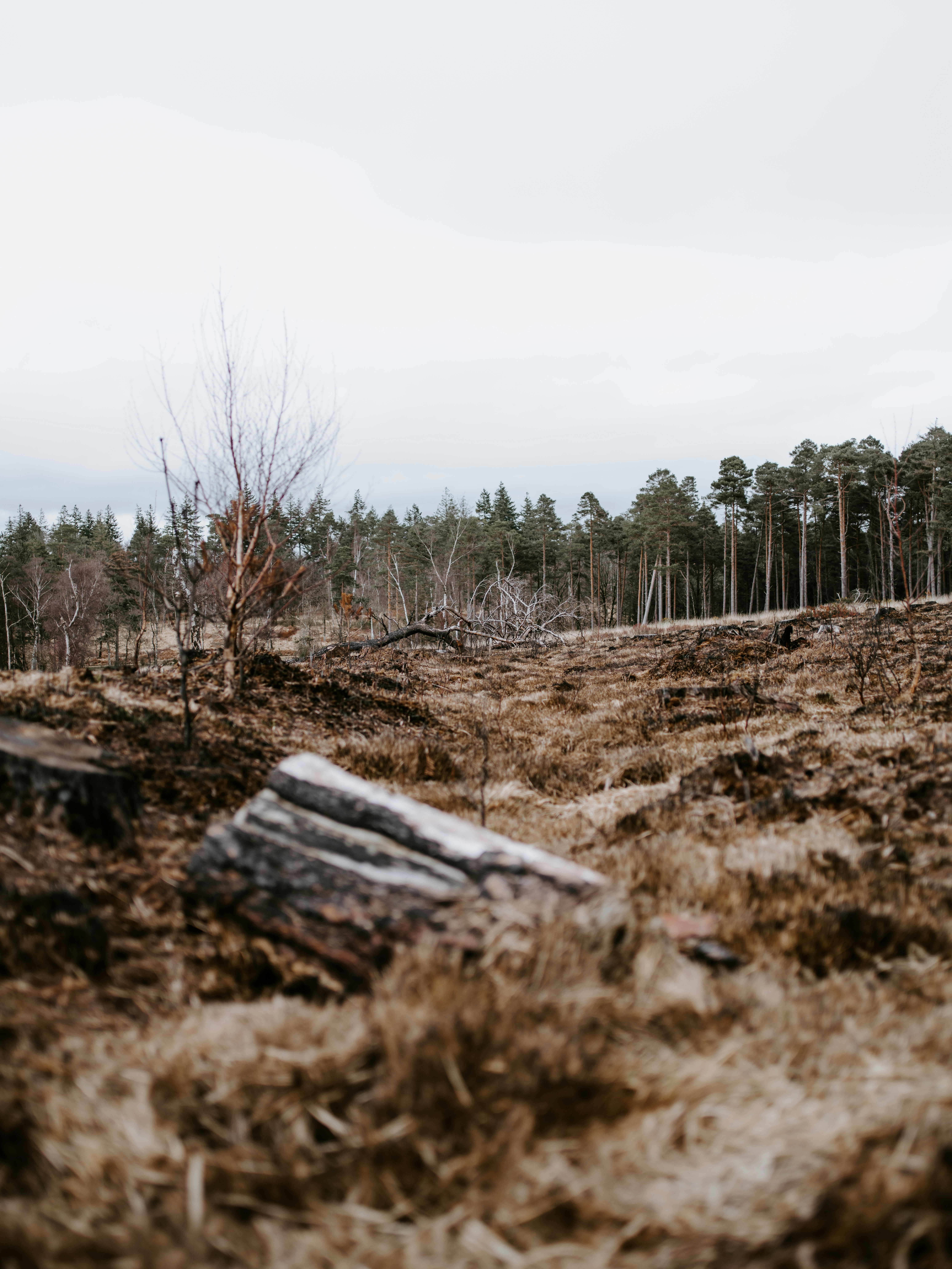 Photo by anniespratt