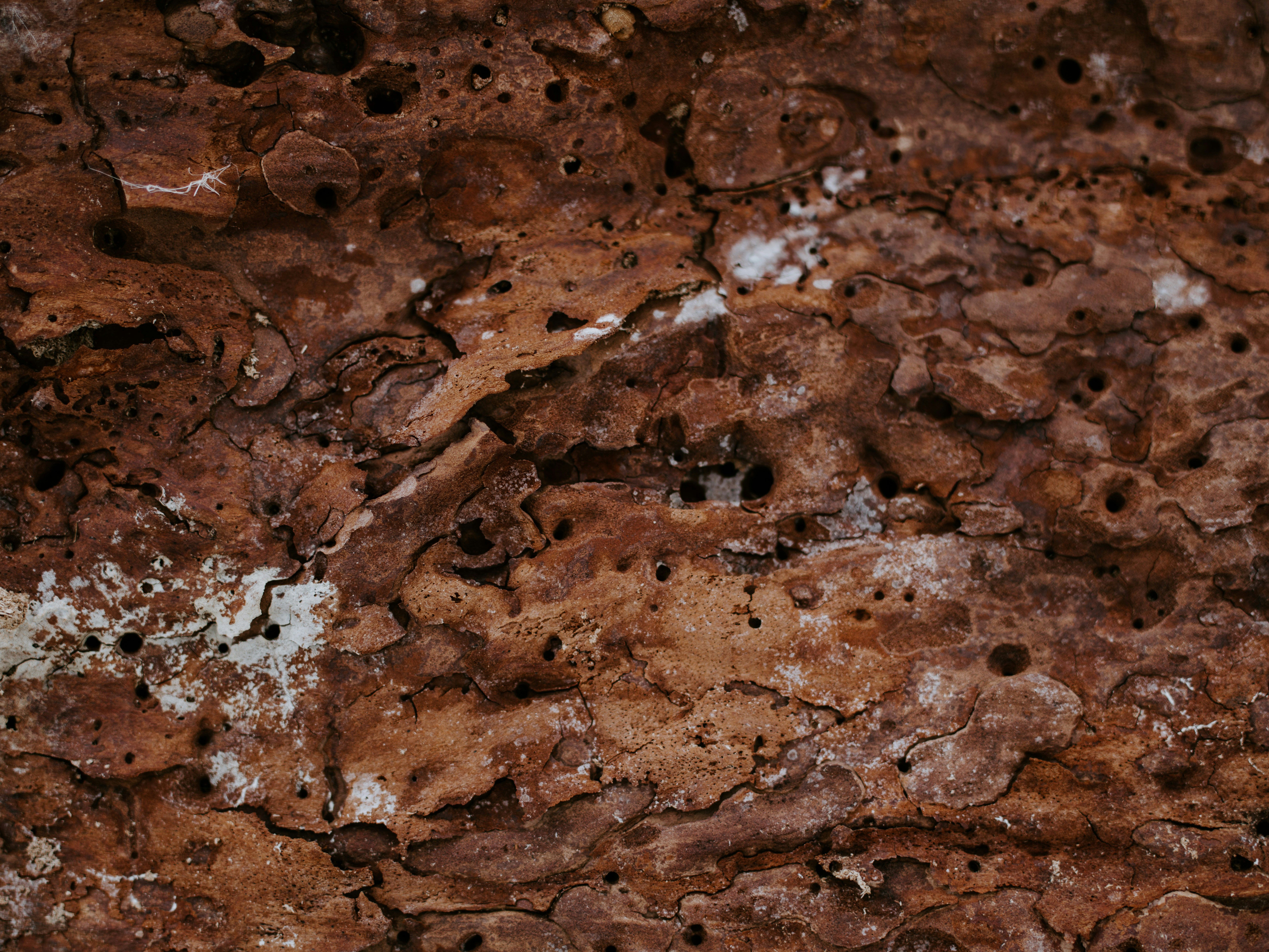 Photo by anniespratt