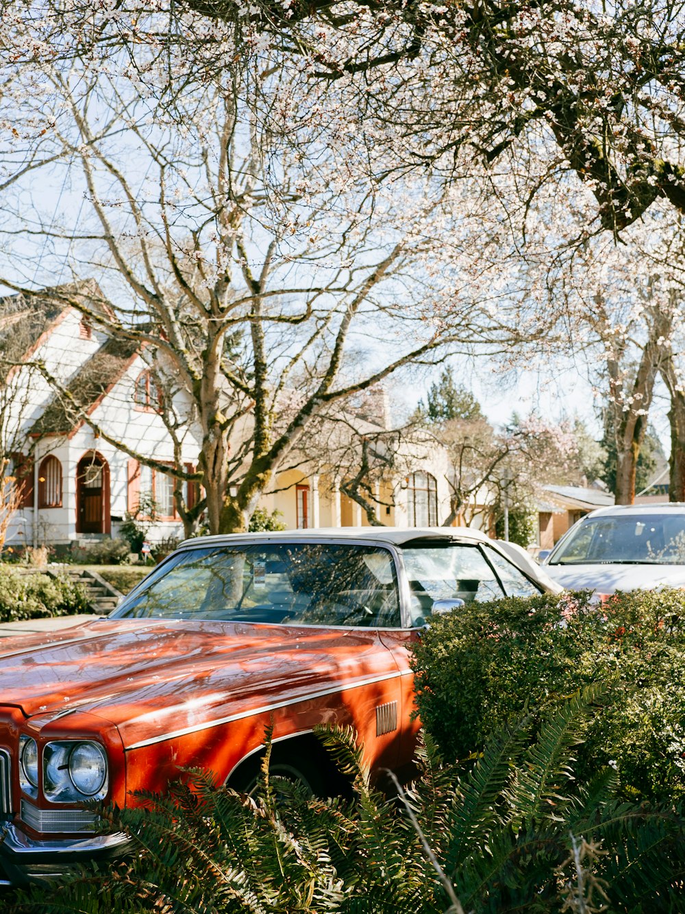 orange coupe parked under a tree