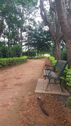 An inviting park area with walking paths and benches under the trees.