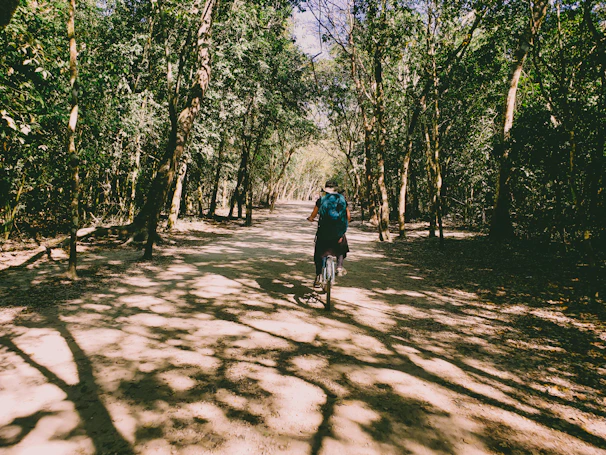 Sunlight filtering through tall pine trees as a rider pedals on a forest path.
