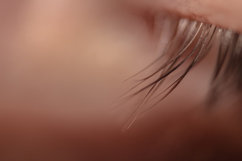Brow & Lash