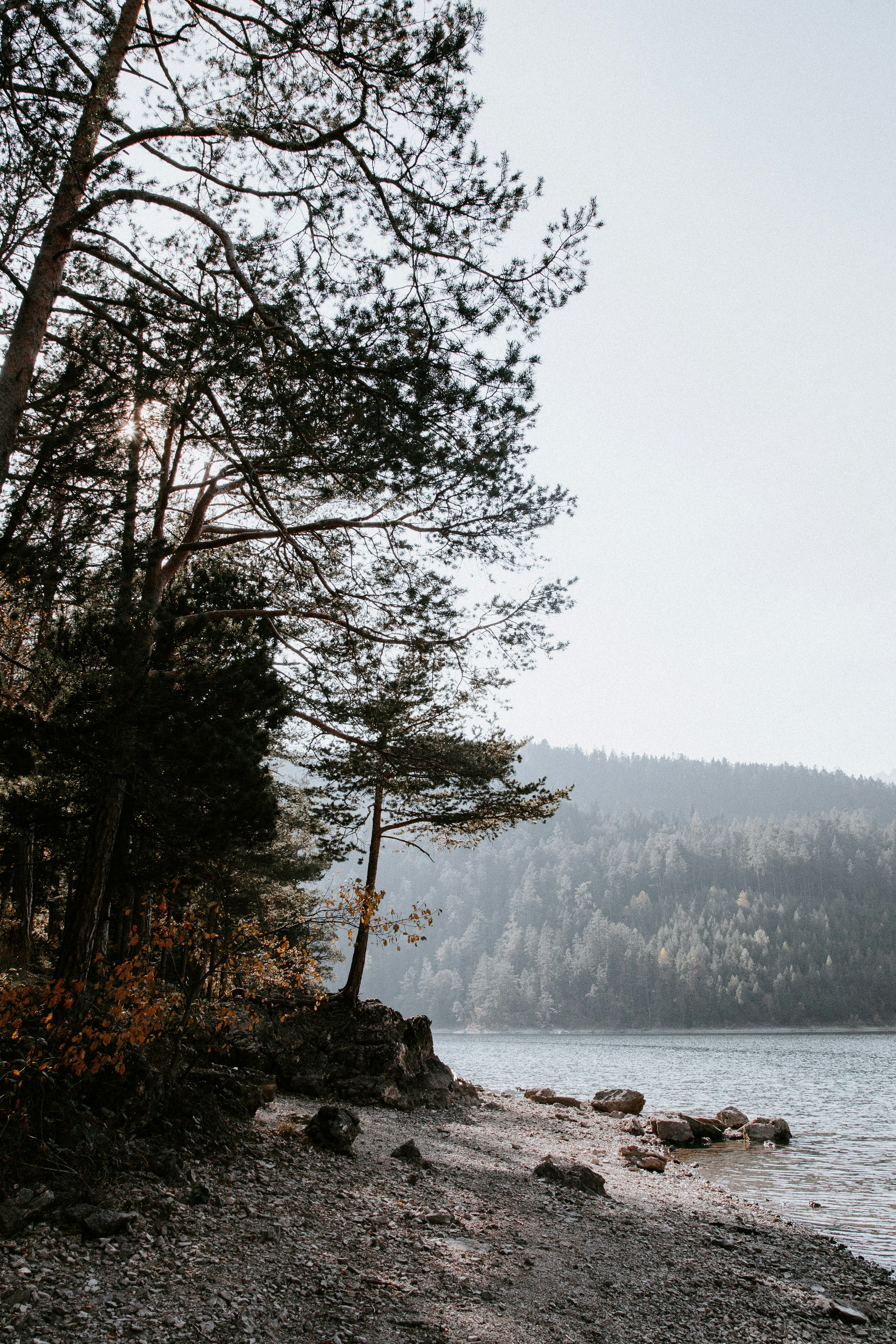 Photo by nadiacortellesi