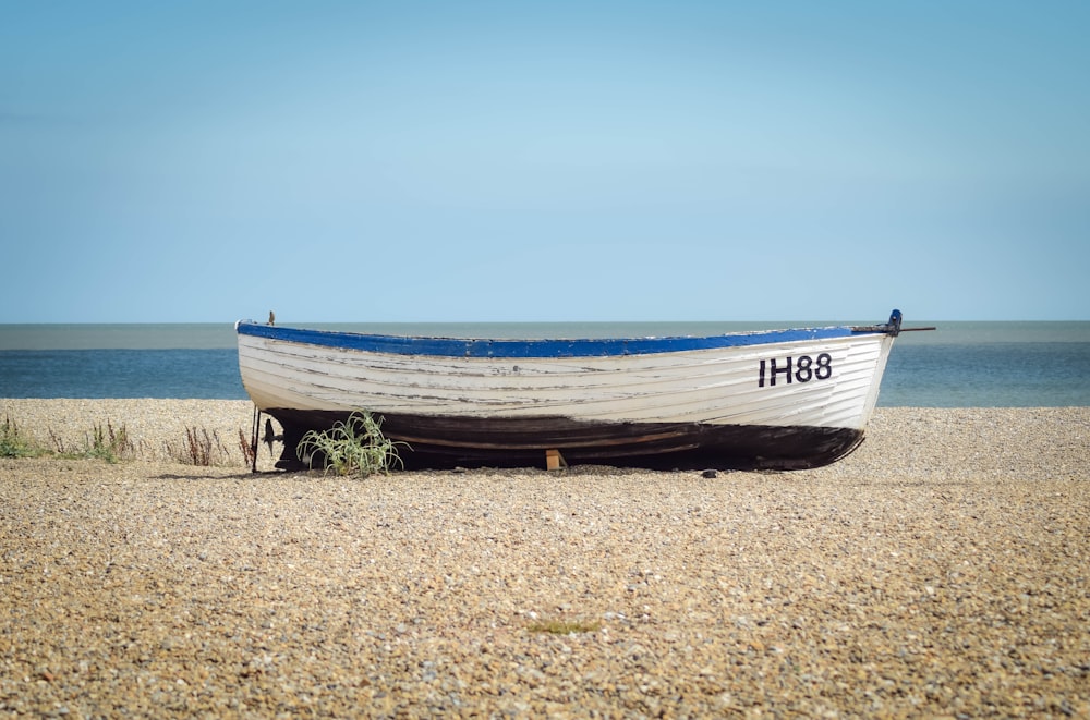 white and blue boat docked on seashore