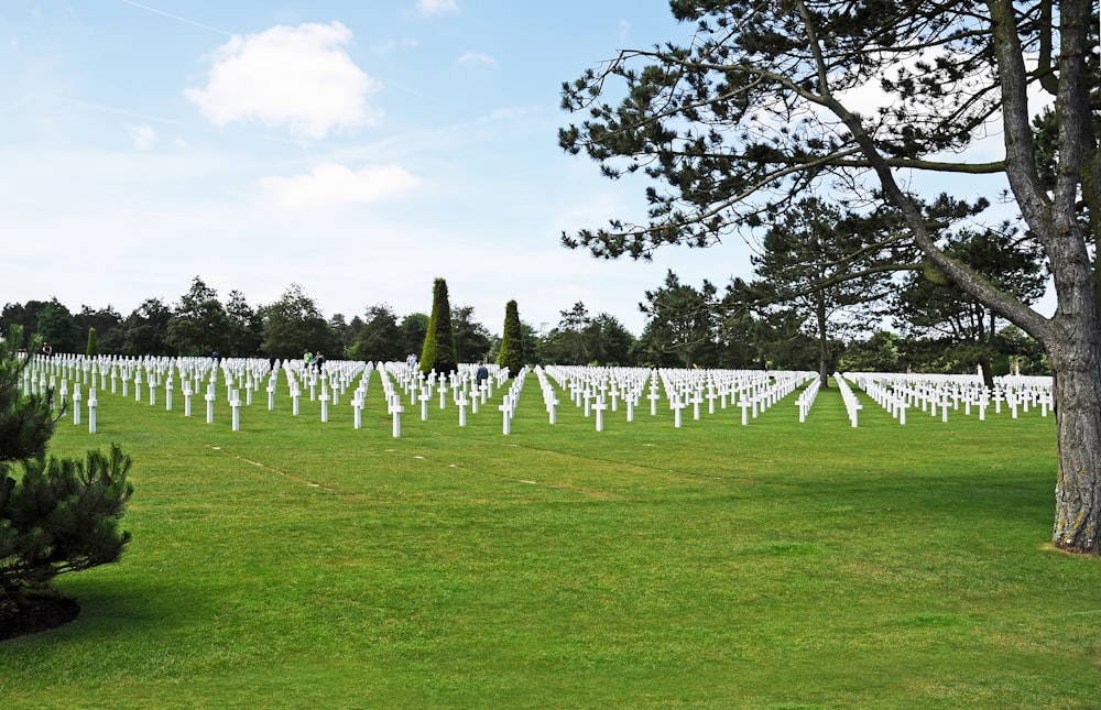 memorial park