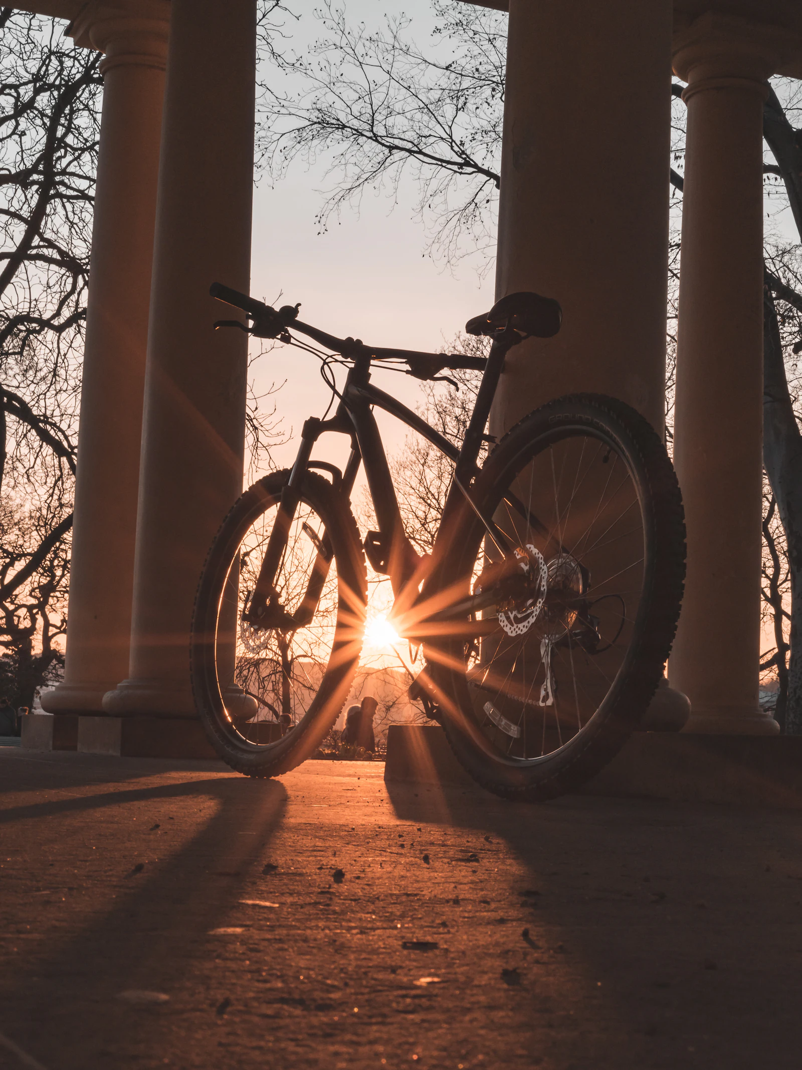 A rigid bicycle parked and ready, lit by low morning sunrays