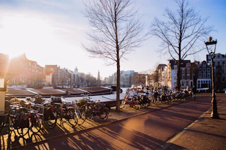 amsterdam apartment life 