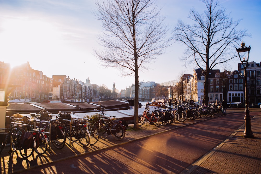 bicycles parked near road