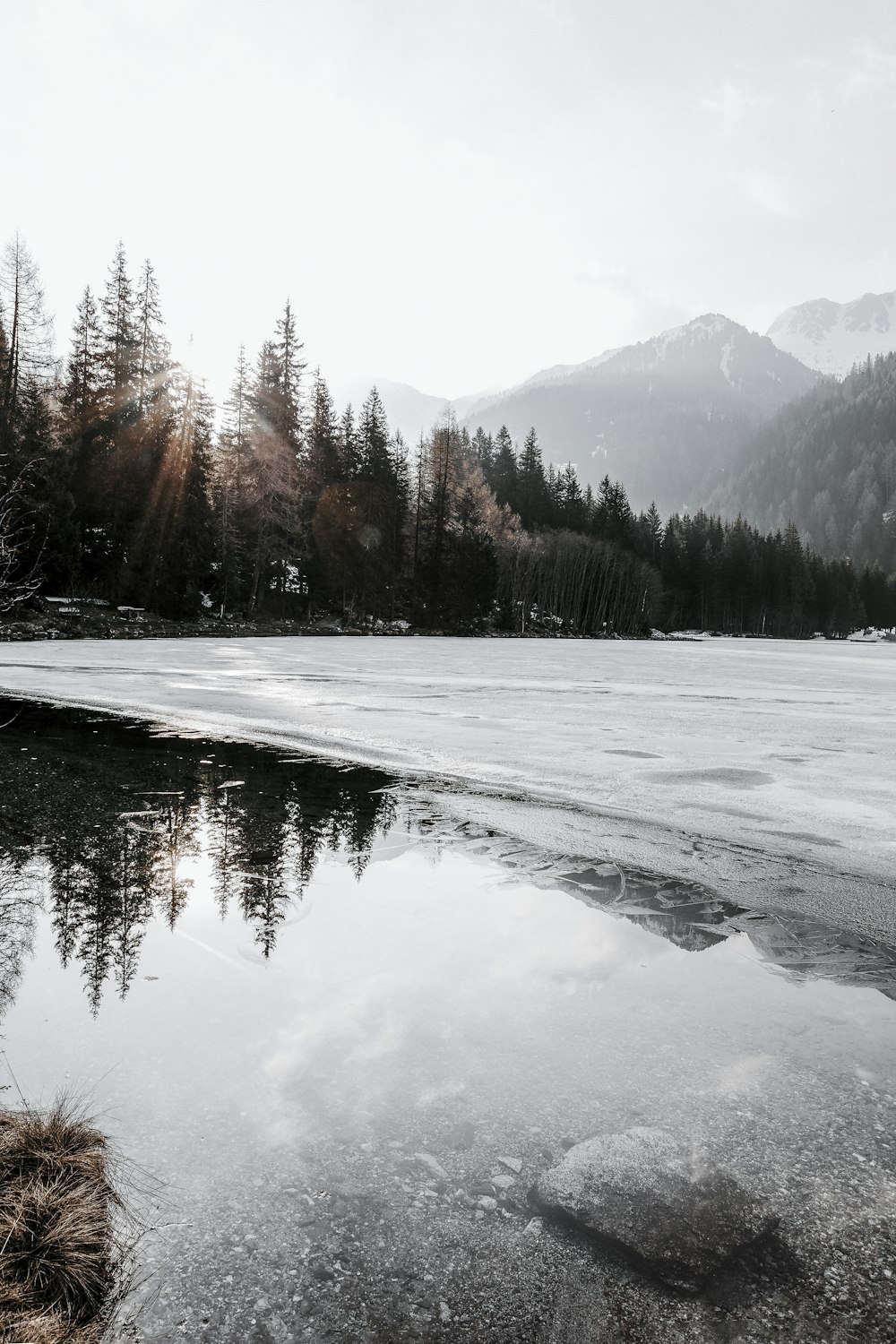 body of water near woods