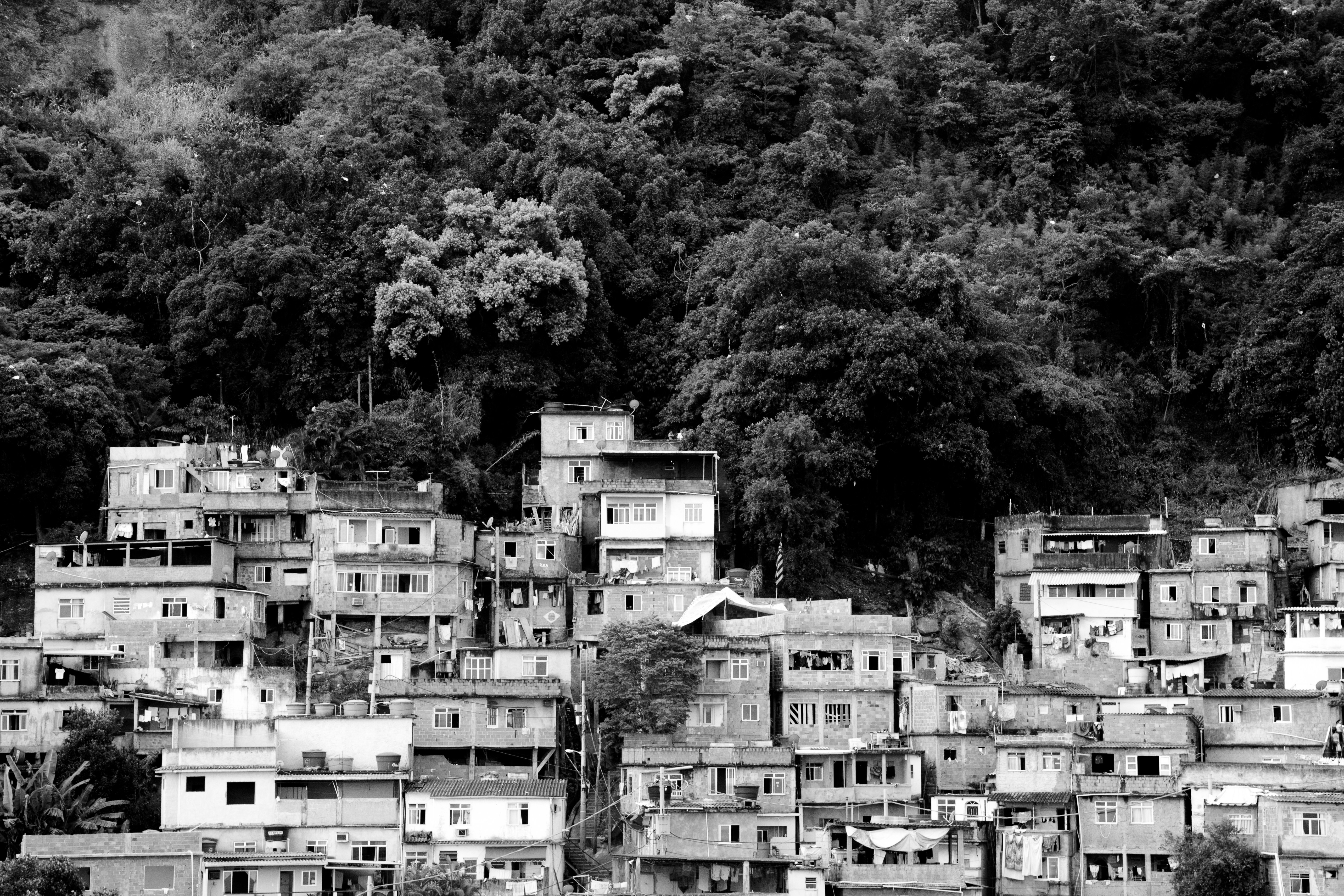 Photo by rodolfobarreto