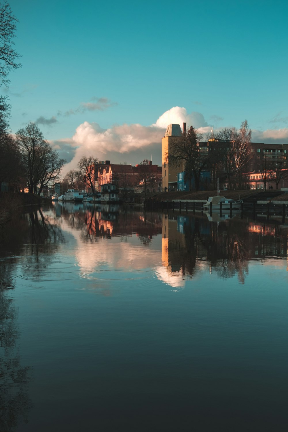 calm body of water during daytime